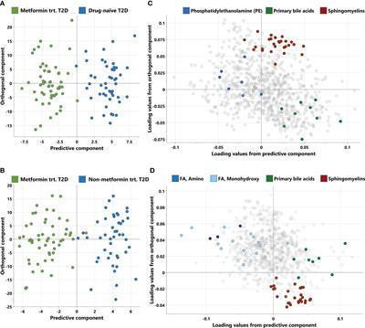 Metformin increases 3-hydroxy medium chain fatty acids in patients with type 2 diabetes: a cross-sectional pharmacometabolomic study